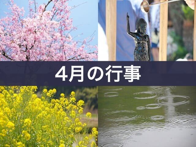4月の行事（桜・花祭り・菜の花・雨）